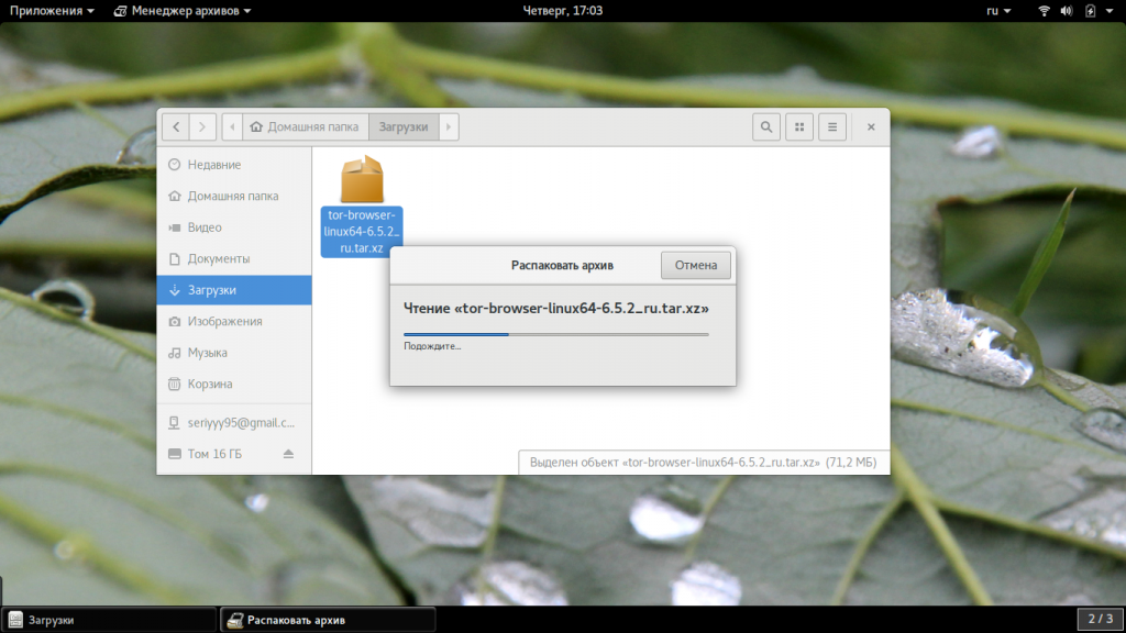 Менеджер загрузок для tor browser hydra2web как работает браузер тор на андроид попасть на гидру