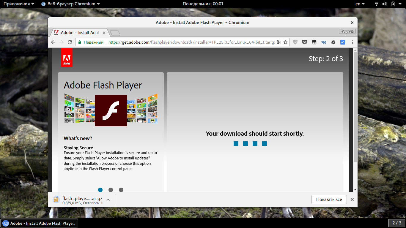 flash player для тор браузера скачать hyrda
