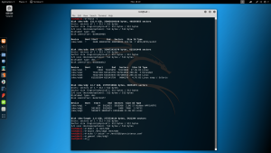 tor browser kali linux root hydra